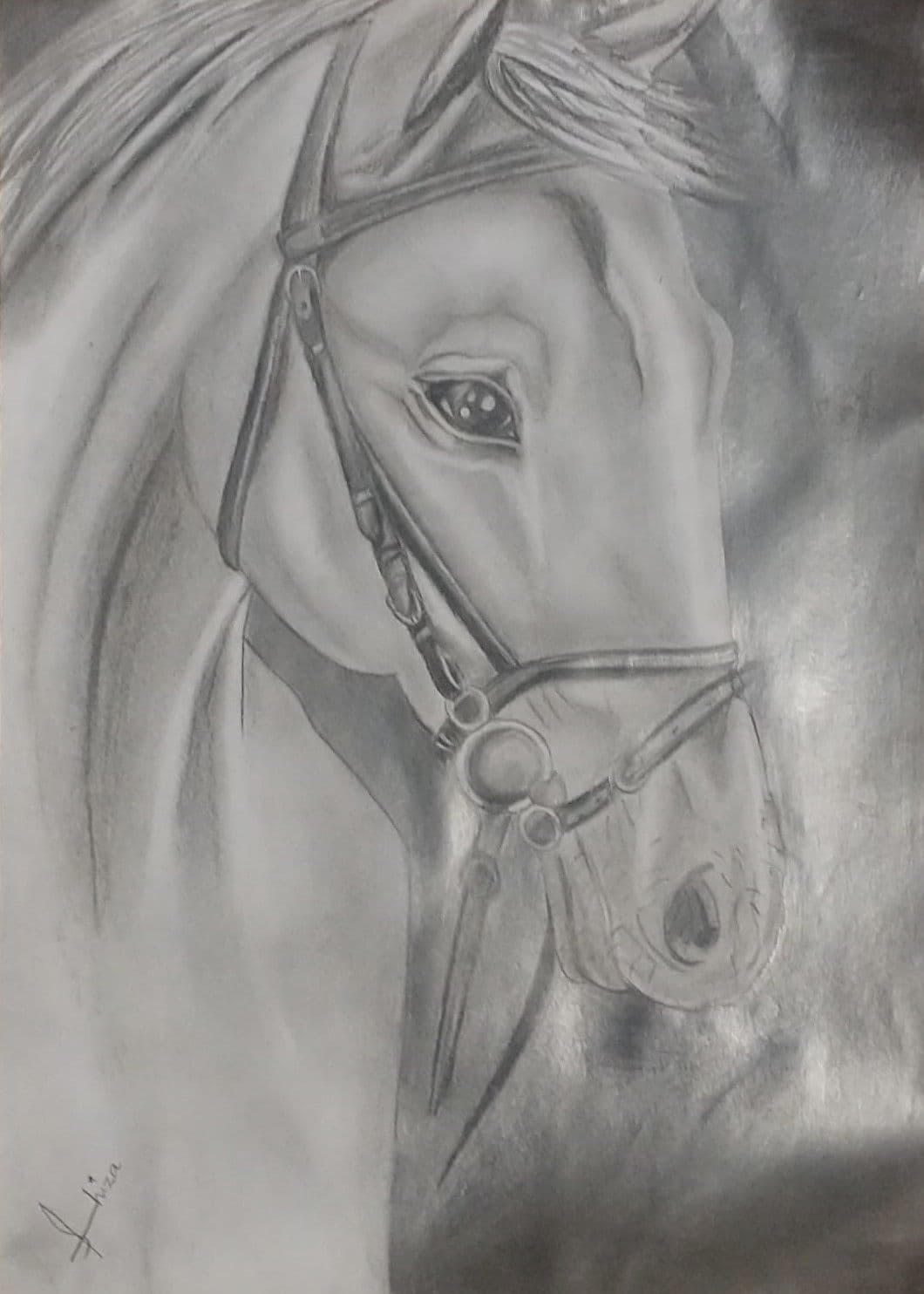 HorseSketch